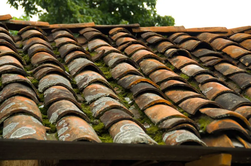 residential roof maintenance