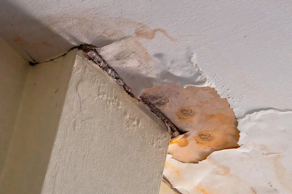 Roof Water Damage