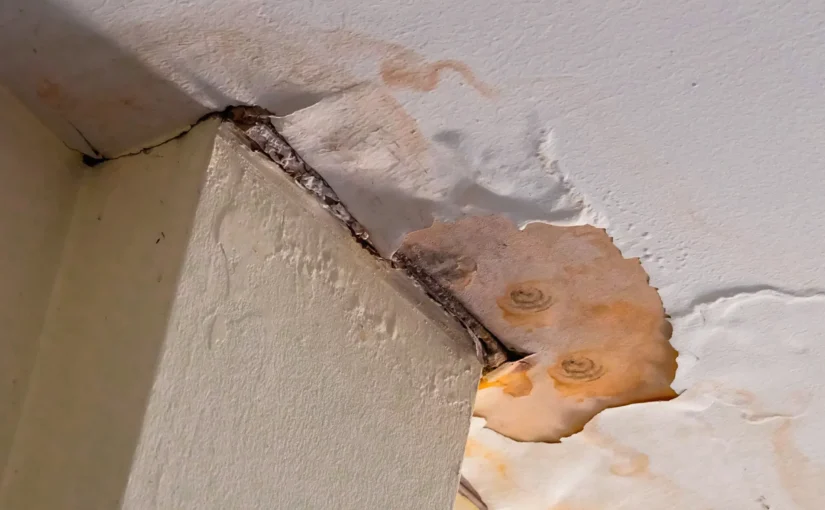 Roof Water Damage
